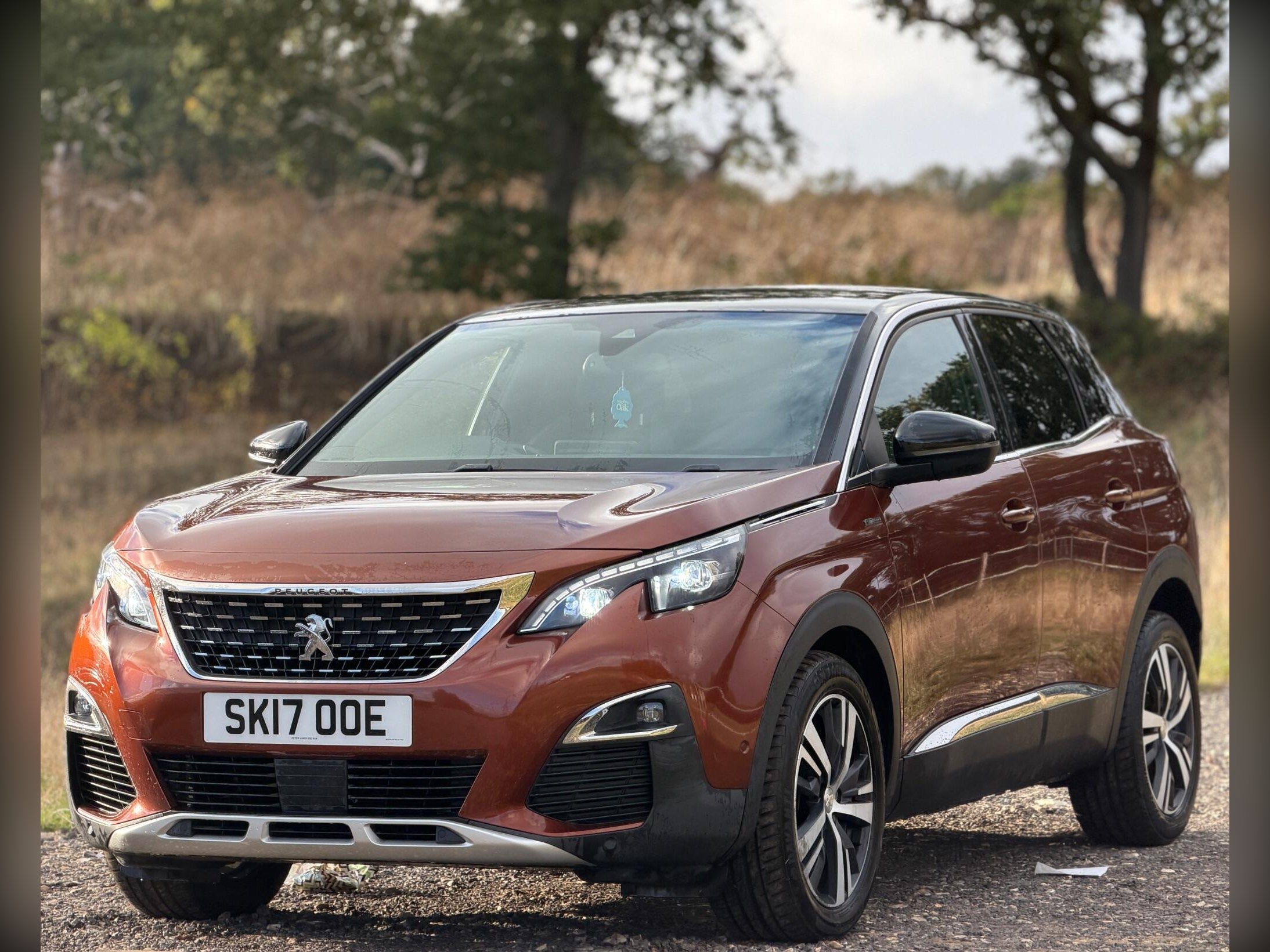 2017 Peugeot 3008